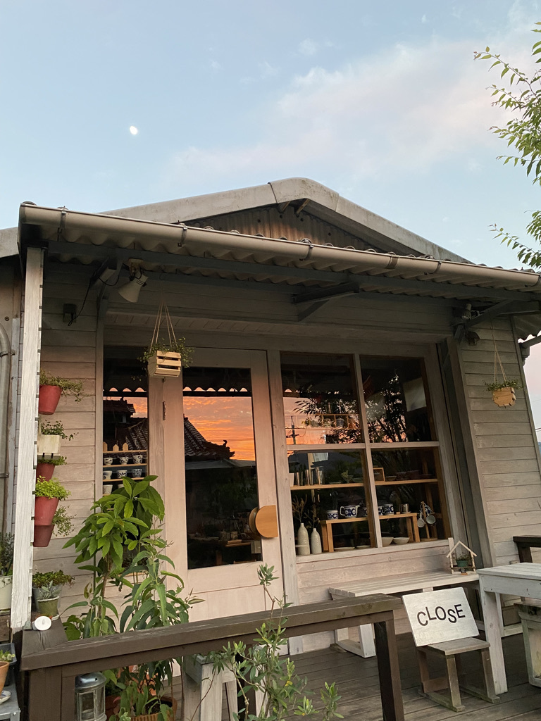 今が見頃の庭の紫陽花　〜夏至の日に〜_c0334574_19445062.jpeg