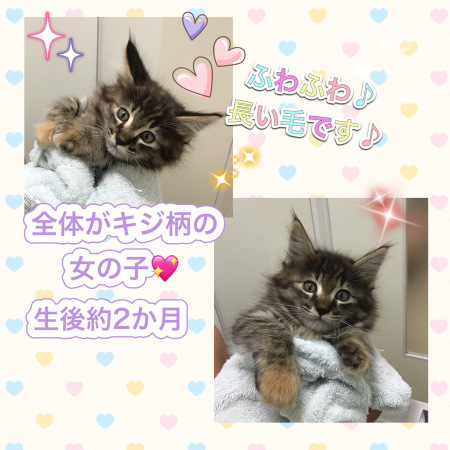 家族募集中☆_c0138175_19163524.jpeg