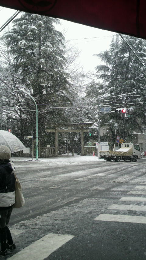 「今日の鳩森さん始まり」_a0075684_10215567.jpg