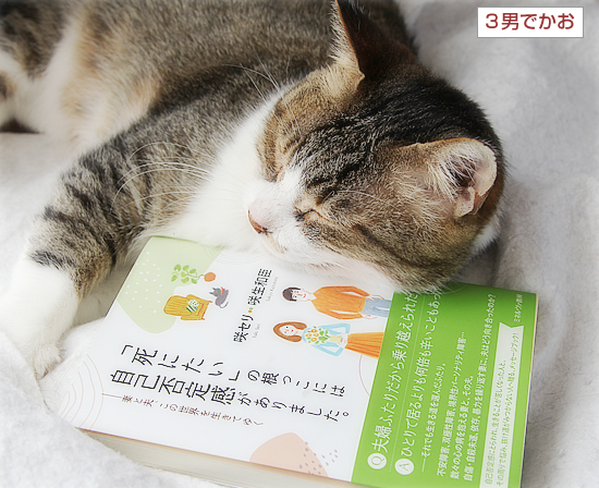 おしらせ_a0389088_15003128.jpg