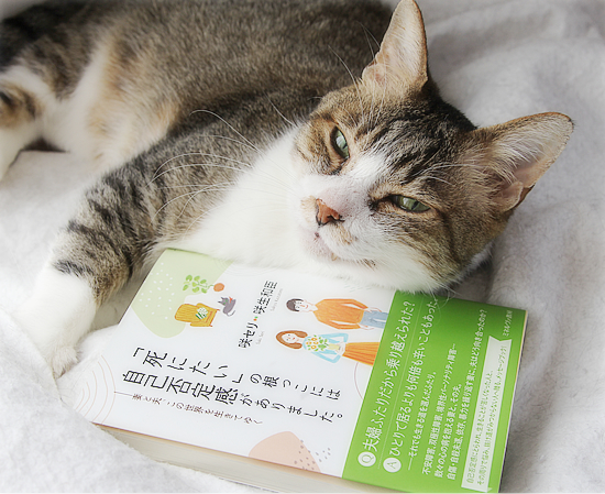 おしらせ_a0389088_15003137.jpg