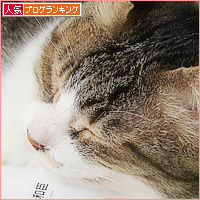 おしらせ_a0389088_15003143.jpg