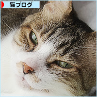 おしらせ_a0389088_15003264.jpg