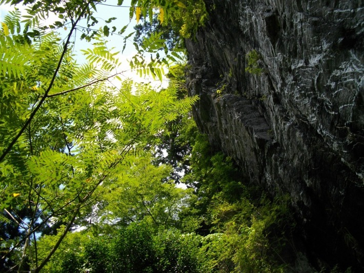 滝山一揆(本山町)2011【往路】 : 茶凡遊山記 滝山一揆(本山町)2011【往路】 : 茶凡遊山記