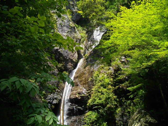 滝山一揆(本山町)2011【復路】 : 茶凡遊山記 滝山一揆(本山町)2011【復路】 : 茶凡遊山記