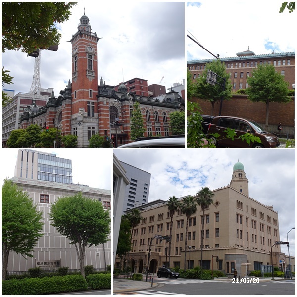 畑へ 横浜へ ワクチン接種_c0051105_14192857.jpg