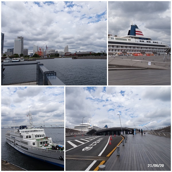 畑へ 横浜へ ワクチン接種_c0051105_14313796.jpg