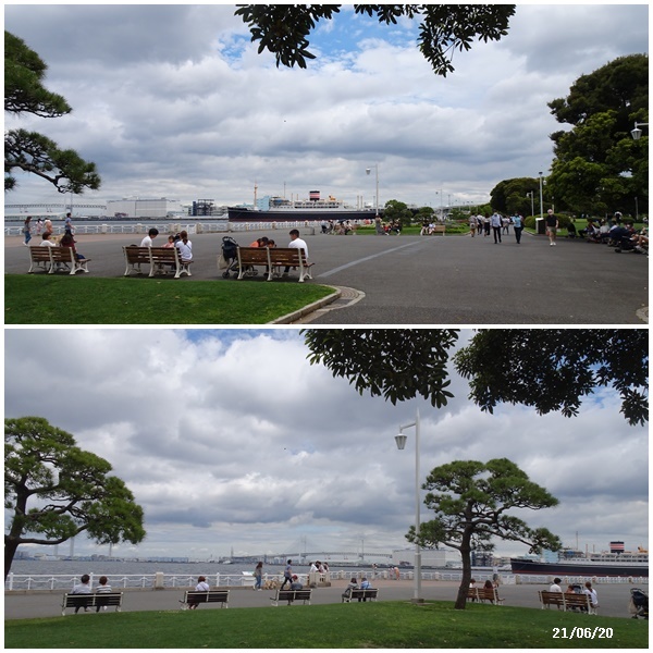 畑へ 横浜へ ワクチン接種_c0051105_15265839.jpg