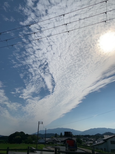 明日香村の不思議_c0125114_08294176.jpg