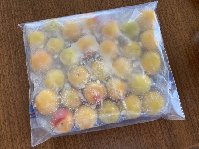 初挑戦 減塩梅干し_d0348118_10234861.jpeg