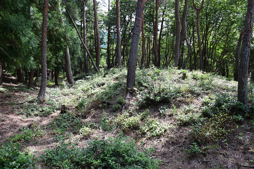 賤ヶ岳の戦いの秀吉本陣・田上山砦。 その2 <南郭・主郭>_e0158128_15033983.jpg