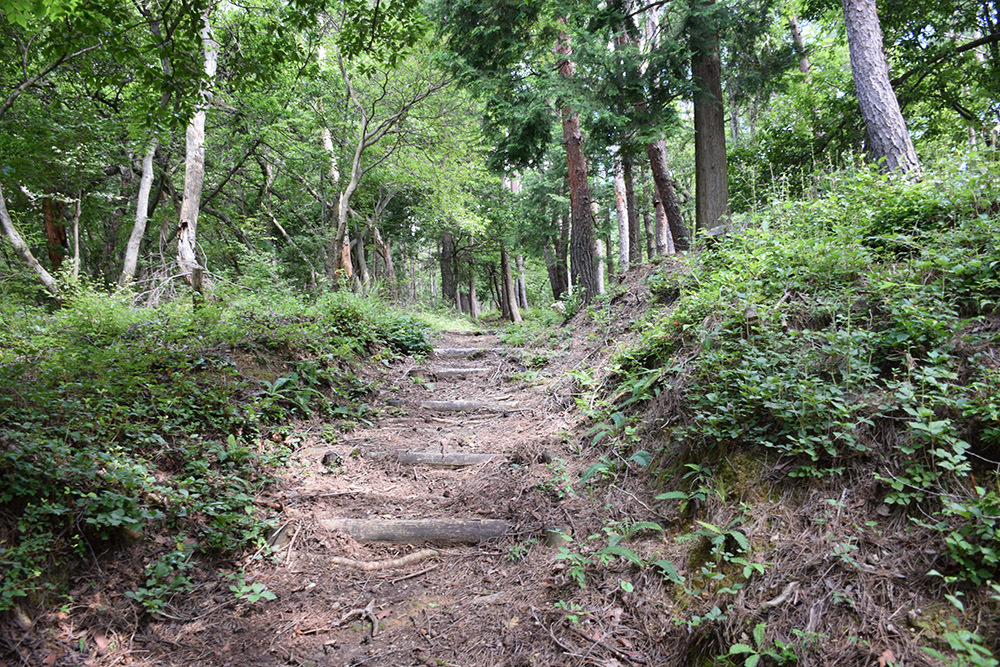 賤ヶ岳の戦いの秀吉本陣・田上山砦。 その2 <南郭・主郭>_e0158128_15061759.jpg