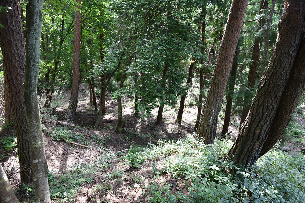 賤ヶ岳の戦いの秀吉本陣・田上山砦。 その2 <南郭・主郭>_e0158128_15062147.jpg