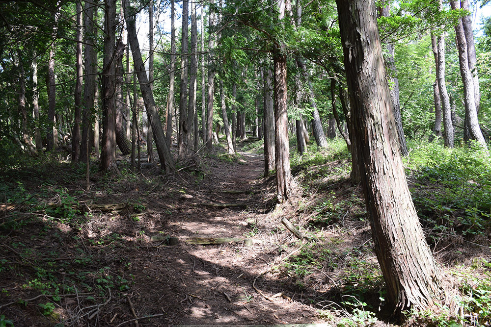 賤ヶ岳の戦いの秀吉本陣・田上山砦。 その2 <南郭・主郭>_e0158128_15081999.jpg