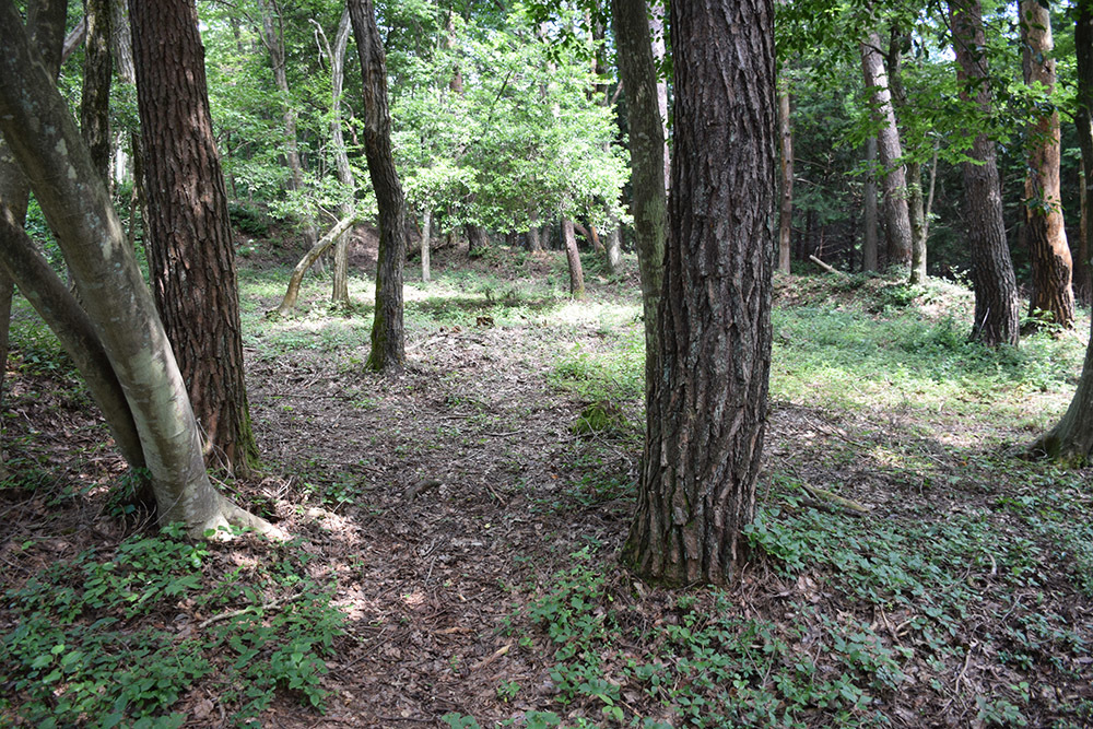 賤ヶ岳の戦いの秀吉本陣・田上山砦。 その2 <南郭・主郭>_e0158128_15123640.jpg