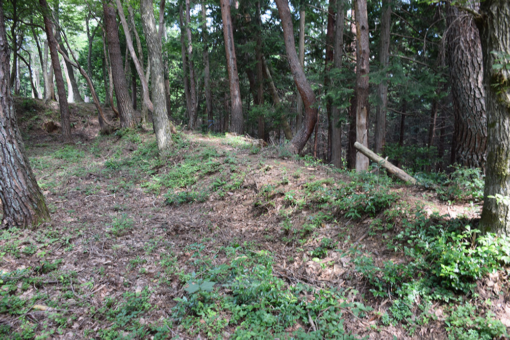 賤ヶ岳の戦いの秀吉本陣・田上山砦。 その2 <南郭・主郭>_e0158128_15171287.jpg
