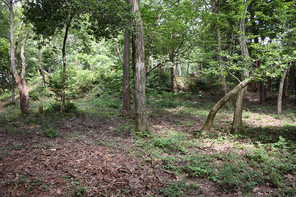 賤ヶ岳の戦いの秀吉本陣・田上山砦。 その2 <南郭・主郭>_e0158128_15171518.jpg