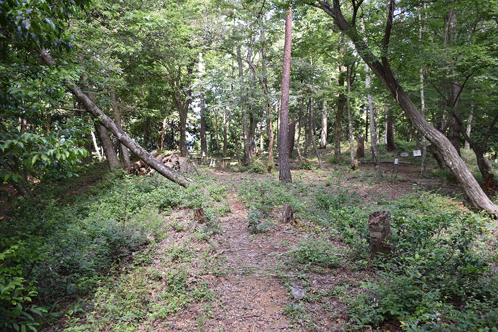 賤ヶ岳の戦いの秀吉本陣・田上山砦。 その2 <南郭・主郭>_e0158128_15191255.jpg