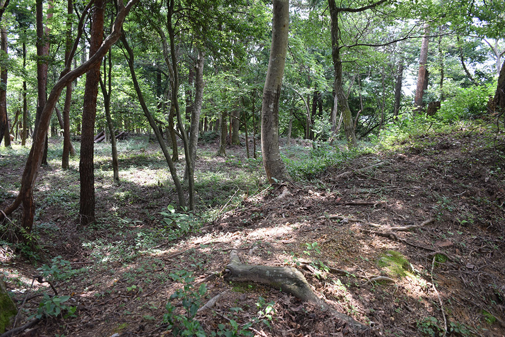 賤ヶ岳の戦いの秀吉本陣・田上山砦。 その2 <南郭・主郭>_e0158128_15370055.jpg