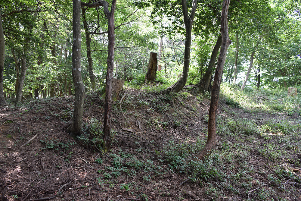 賤ヶ岳の戦いの秀吉本陣・田上山砦。 その2 <南郭・主郭>_e0158128_15370325.jpg