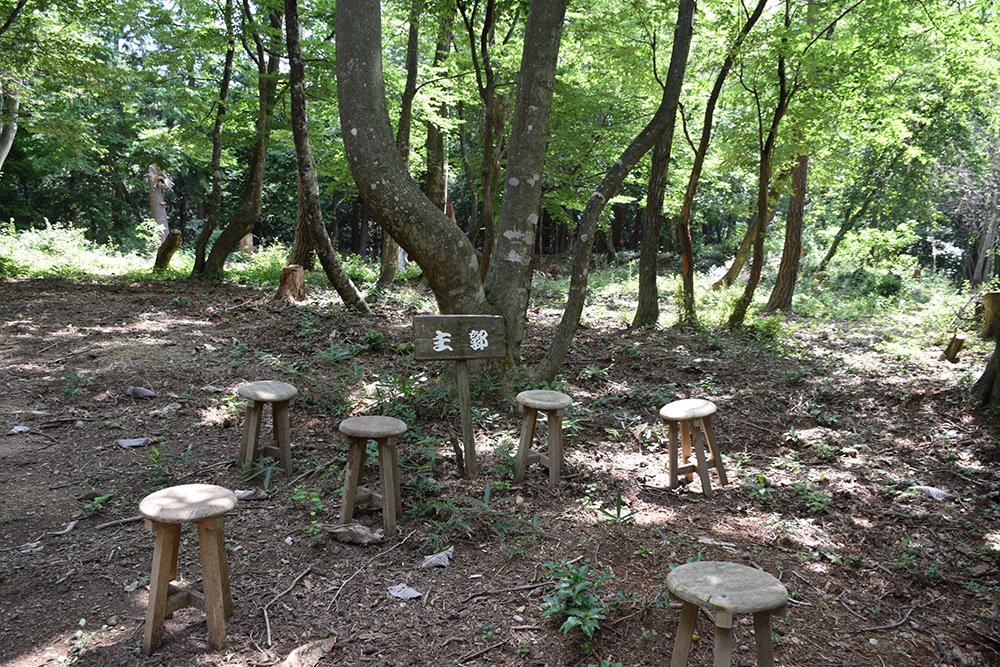 賤ヶ岳の戦いの秀吉本陣・田上山砦。 その2 <南郭・主郭>_e0158128_15385022.jpg