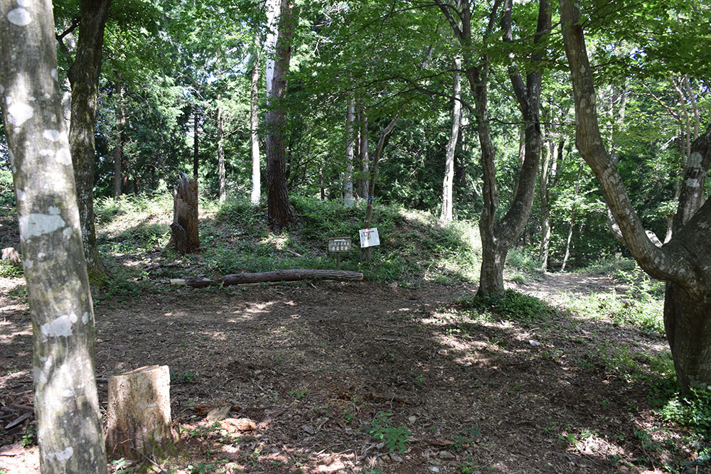 賤ヶ岳の戦いの秀吉本陣・田上山砦。 その2 <南郭・主郭>_e0158128_15385334.jpg