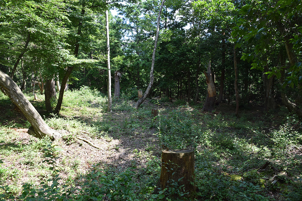 賤ヶ岳の戦いの秀吉本陣・田上山砦。 その2 <南郭・主郭>_e0158128_15410459.jpg