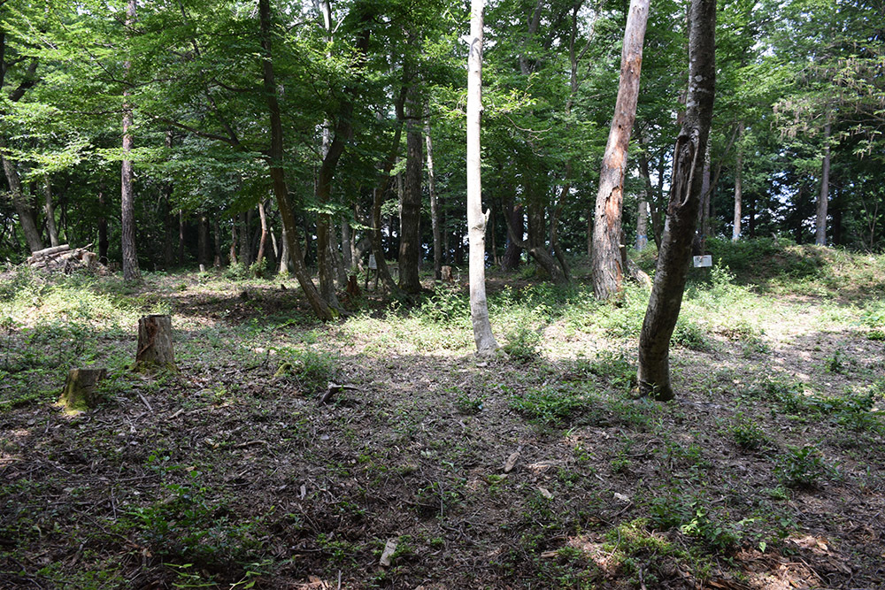 賤ヶ岳の戦いの秀吉本陣・田上山砦。 その2 <南郭・主郭>_e0158128_15410767.jpg
