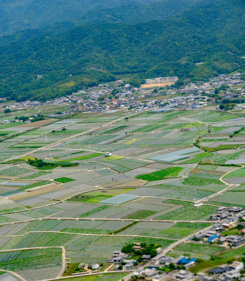 「徳島・鳴門の記事が公開されました」_a0000029_20351504.jpg
