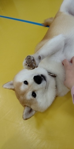 ✨😆✨_f0357682_19193011.jpg