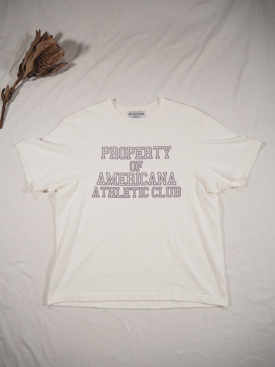 Americana フリーダムスリーブTシャツ_e0357389_15001008.jpg