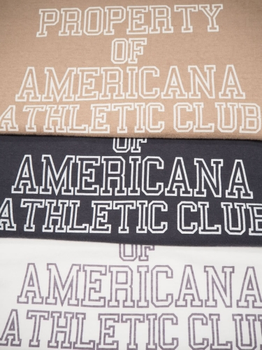 Americana フリーダムスリーブTシャツ_e0357389_15001441.jpg