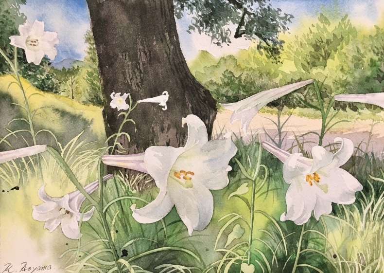 国内外の人気 ゆり・・ 水彩画 : 青山一樹 水彩画のひととき 絵画