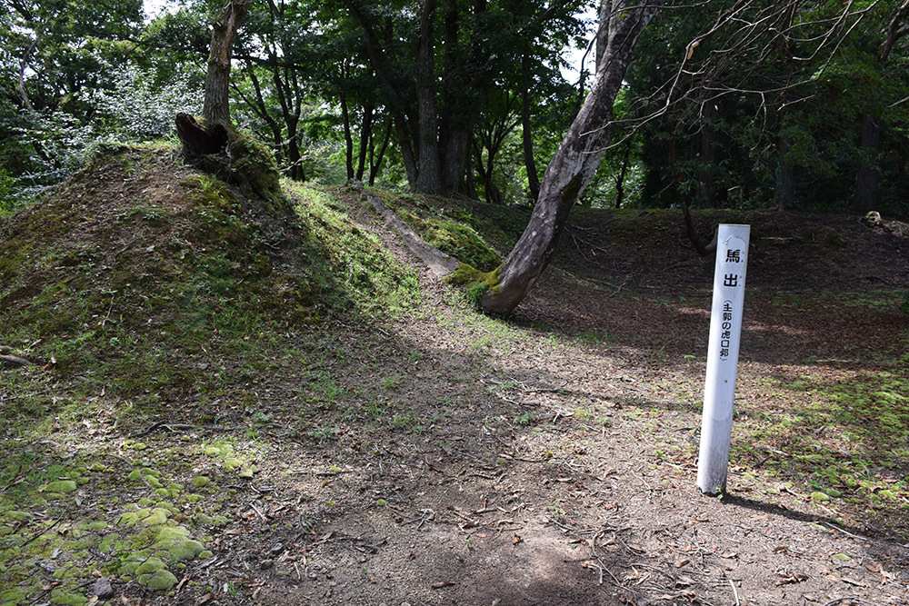 賤ヶ岳の戦いの柴田勝家の本陣・玄蕃尾城。 その4 <搦手郭・北馬出郭>_e0158128_20544140.jpg
