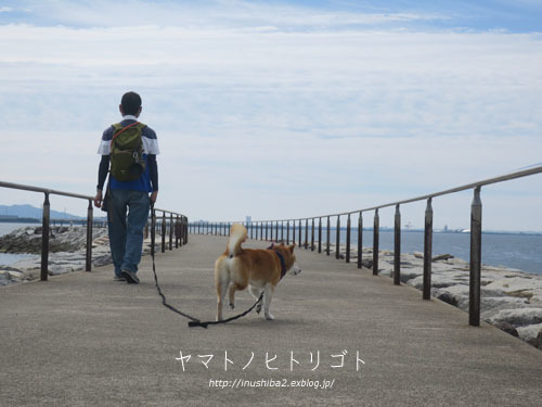 今日はフナムシ♪_e0394031_06070923.jpg