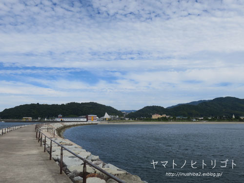 今日はフナムシ♪_e0394031_06072853.jpg