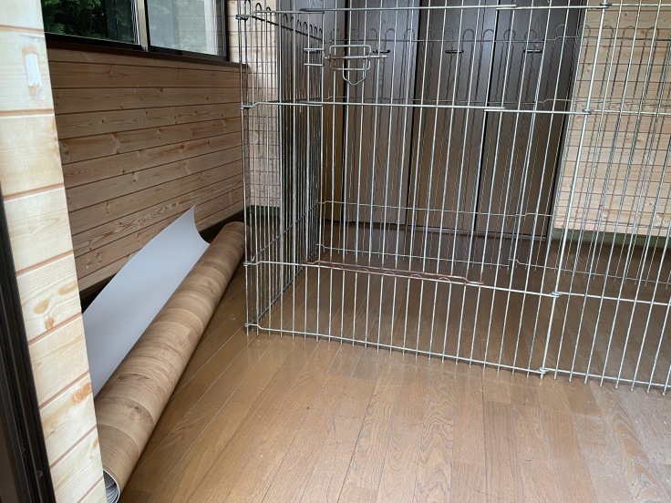 受入態勢構築完了_f0076731_18452996.jpeg