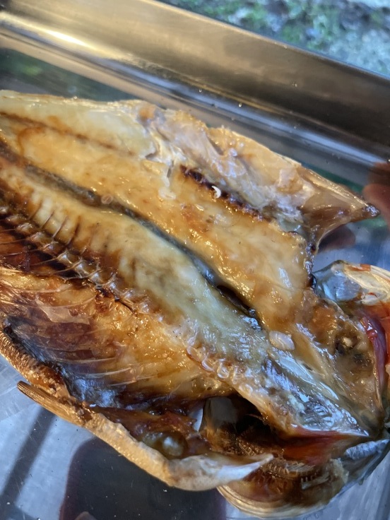 受入態勢構築完了_f0076731_18554765.jpg