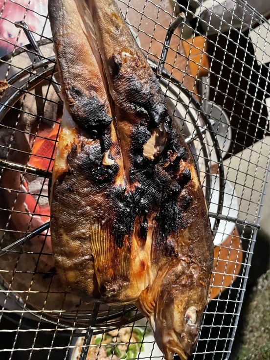 受入態勢構築完了_f0076731_20031880.jpeg
