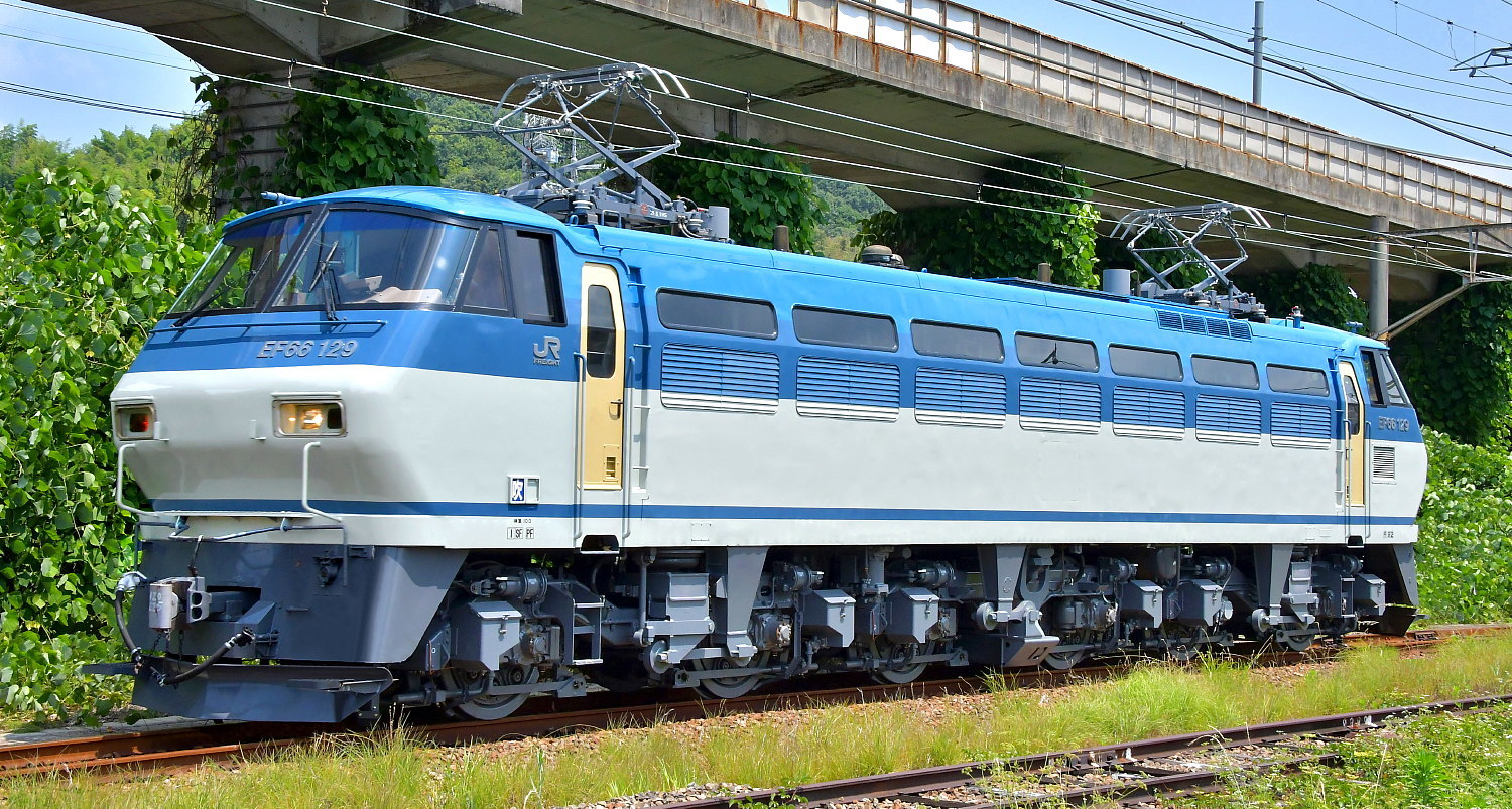 EF66-129 : 団塊鉄ちゃん気紛れ撮影記