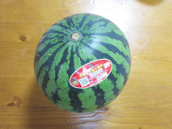 スイカ、3玉目@2021_c0152767_19500369.jpg