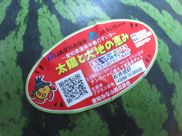 スイカ、3玉目@2021_c0152767_19504783.jpg