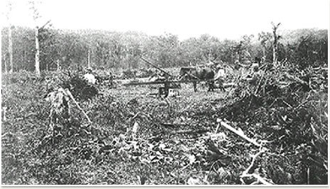 明治期北海道の兵士たち 徴兵・戦没・慰霊 | 相庭 達也 |本