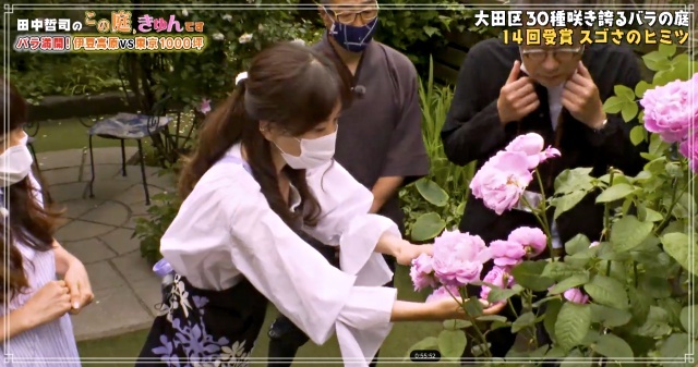 田中哲司の「この庭、きゅんです」は、公式サイトにて無料動画配信中です_d0049381_20290054.jpg