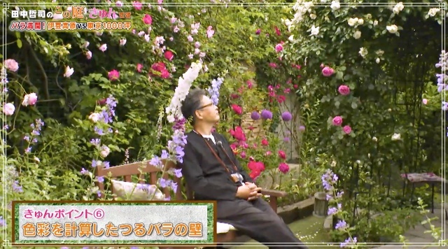 田中哲司の「この庭、きゅんです」は、公式サイトにて無料動画配信中です_d0049381_20310326.jpg
