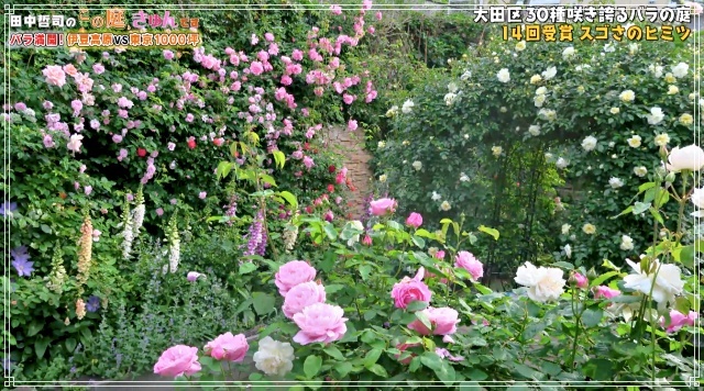 田中哲司の「この庭、きゅんです」は、公式サイトにて無料動画配信中です_d0049381_20335096.jpg