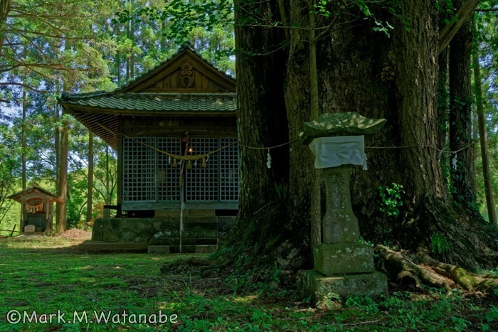 日吉神社_e0135098_00132339.jpg