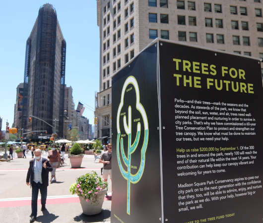 ”Trees for the Future”（未来のための木々）_b0007805_00455478.jpg