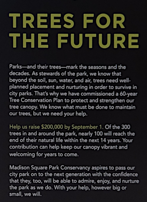 ”Trees for the Future”（未来のための木々）_b0007805_01035956.jpg