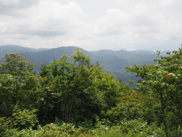 春日山登山_c0116915_00031771.jpg